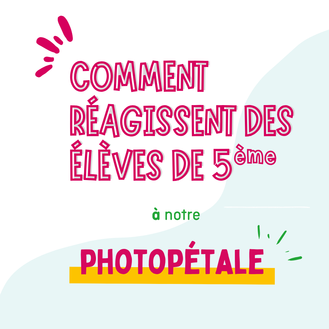 illustration A la découverte de la complexité du système alimentaire