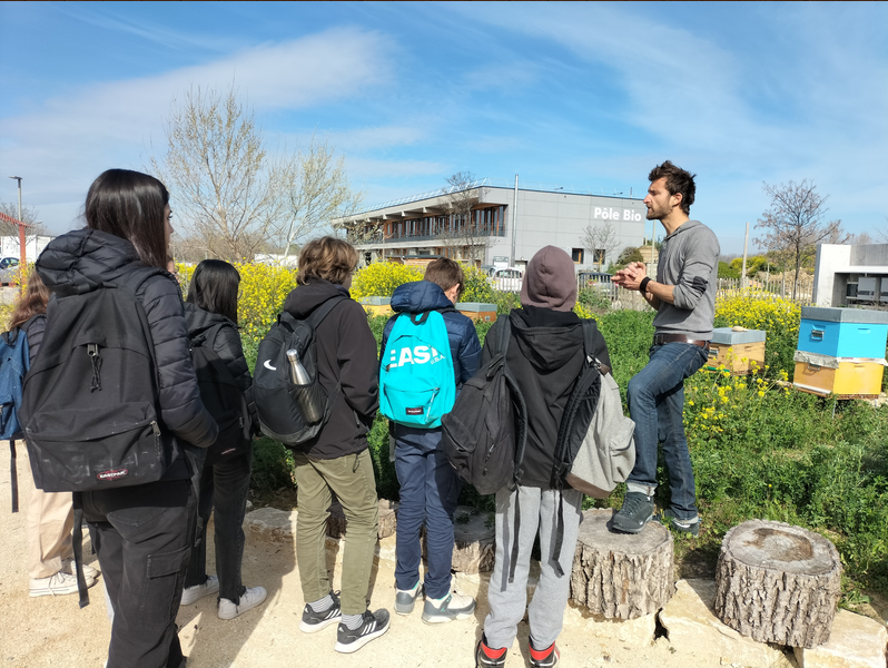 illustration Visites de ferme pour les 4è du collège Revesz Long 