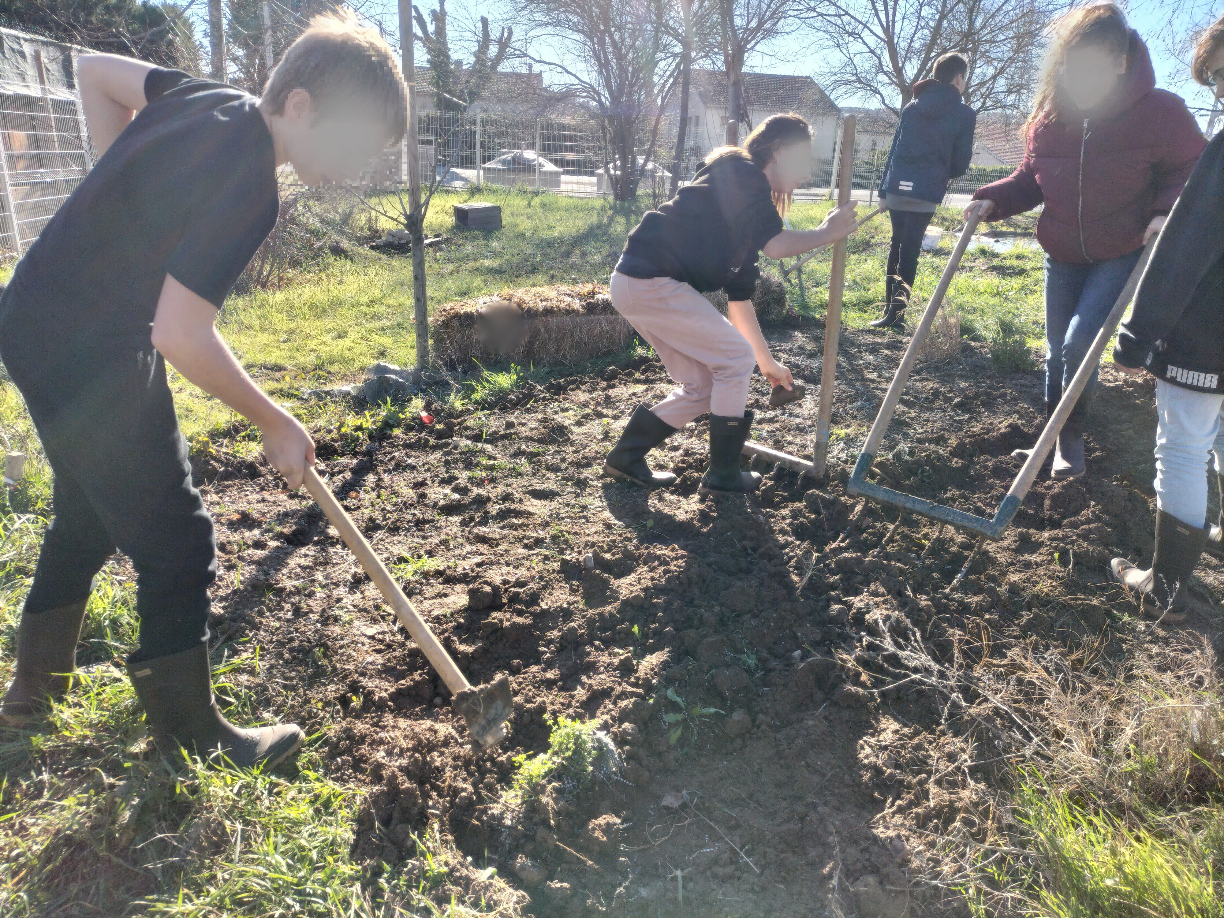 illustration Projet Jardiner au collège Revesz-Long