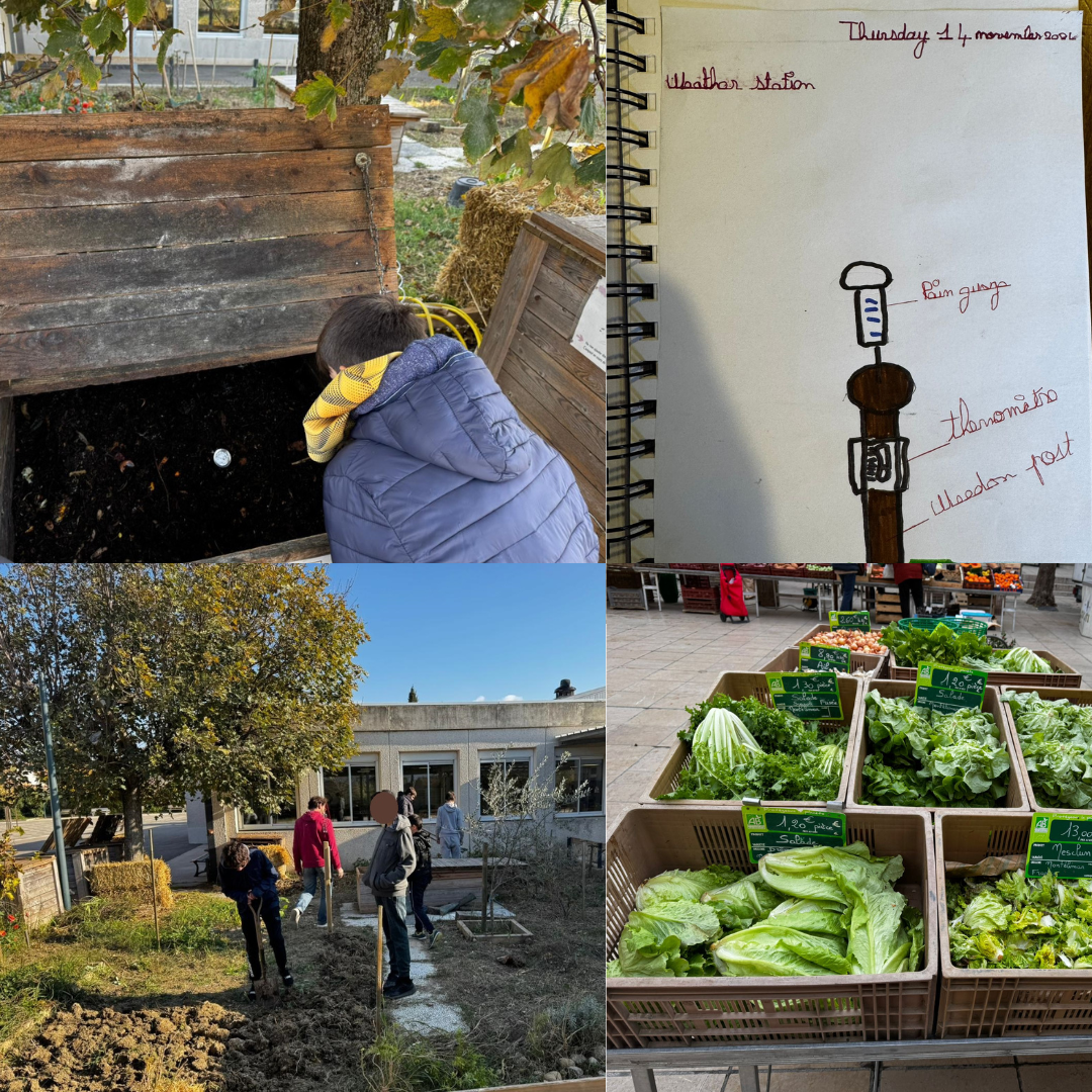 illustration Pratiquer au potager, explorer le marché et les alentours du collège Monod (Montélimar)